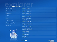 ExplorerBug.JPG
